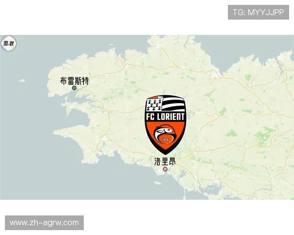 最新法甲球队分布：2024年法甲球队的地理分布与分析