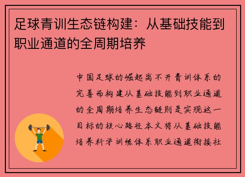 足球青训生态链构建：从基础技能到职业通道的全周期培养