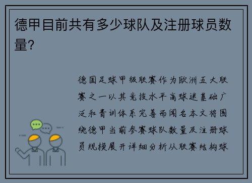 德甲目前共有多少球队及注册球员数量？